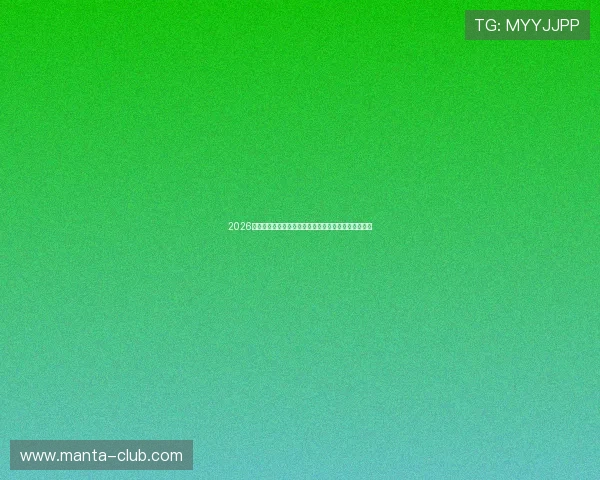 2026世界杯比利时队客场球衣设计背后团队与品牌合作揭秘